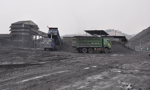 Một công trường chế biến, sàng tuyển than của Cty Vietmindo tại khu vực Vàng Danh, TP. Uông Bí. Ảnh: T.N.D