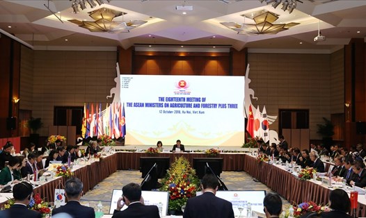 Toàn cảnh Hội nghị Bộ trưởng Nông Lâm nghiệp ASEAN+3 (Trung Quốc, Nhật Bản, Hàn Quốc). Ảnh: Kh.L