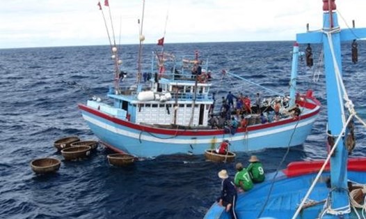 Tình hình tàu cá và ngư dân Bình Định bị nước ngoài bắt giữ không có chiều hướng suy giảm. Ảnh: minh họa.