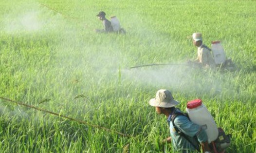 Việt Nam đang tuyên truyền để nông dân hướng tới sử dụng hóa chất BVTV sinh học an toàn cho cây trồng và môi trường. Ảnh: PV