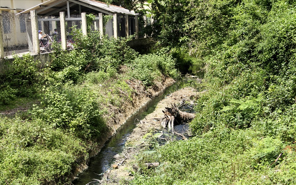 Nước thải từ CCN Cát Tranh xả ra kênh Đồng Đế bốc mùi hôi thối. Ảnh: N.T