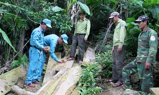 Lực lượng bảo vệ rừng gồm chủ rừng, kiểm lâm và lâm tặc đã được “cảm hóa” kiểm tra hiện trường tiểu khu 678D và 688. Ảnh: HƯNG THƠ