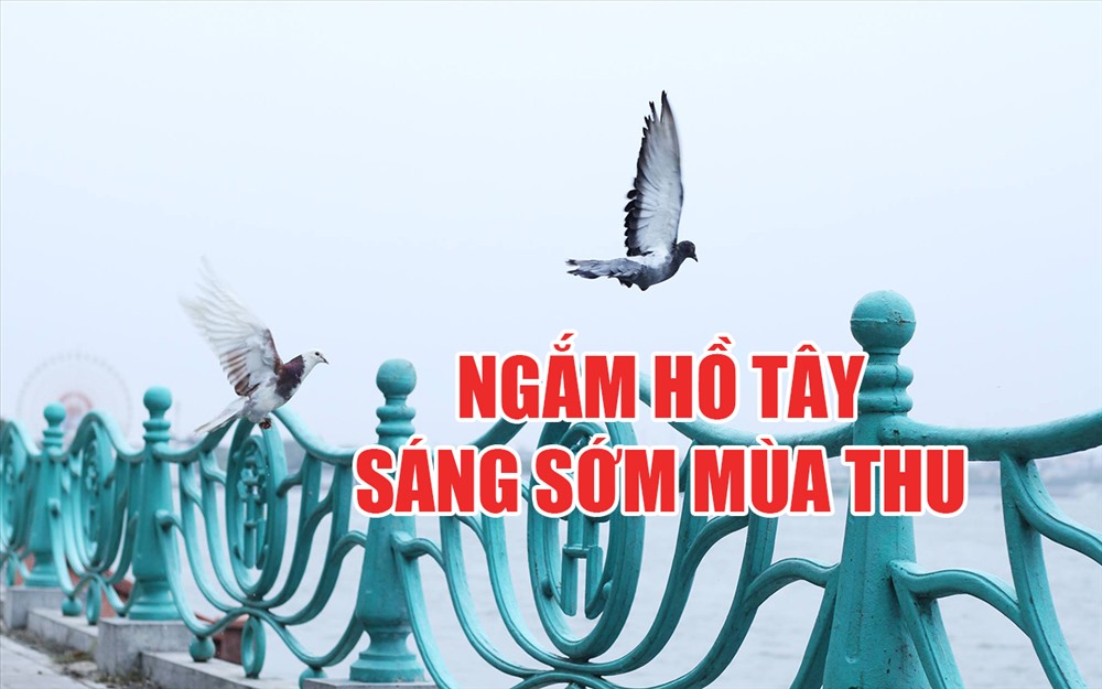 Những hình ảnh đẹp xinh ở Hồ Tây không dành cho người dậy muộn