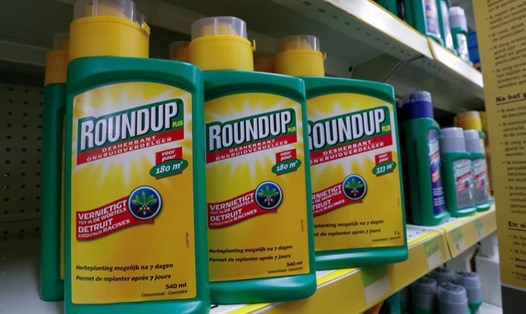 Thuốc diệt cỏ Roundup của Monsanto được bày bán tại một cửa hàng. Ảnh: REUTERS