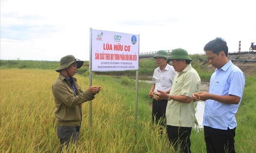 Lãnh đạo tỉnh Quảng Trị cùng các ngành chức năng kiểm tra mô hình sản xuất nông nghiệp chất lượng cao theo hướng thân thiện với môi trường. Ảnh: TN.