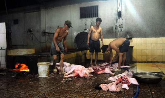 Lò lợn mổ lậu tại tỉnh Đồng Nai vẫn chưa được xử lý dứt điểm. Ảnh: H.A.C