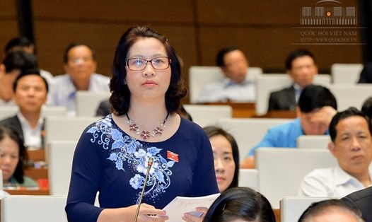 ĐBHQ Nguyễn Thị Lan đề xuất hỗ trợ vốn cho thanh niên nông thôn khởi nghiệp nông nghiệp. Ảnh: Quochoi.vn