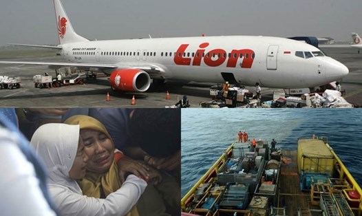 Chiếc máy bay của hãng Lion Air rơi xuống biển với 189 người trên khoang. Ảnh: FinancialExpress.