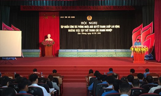 Đồng chí Nguyễn Văn Cảnh - Chủ tịch LĐLĐ tỉnh phát biểu tại hội nghị.