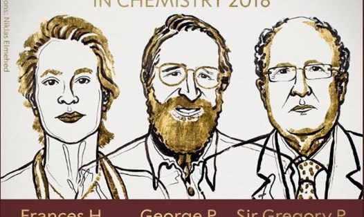 Ba nhà khoa học giành giải Nobel Hóa học 2018. Ảnh: Nobel Prize. 