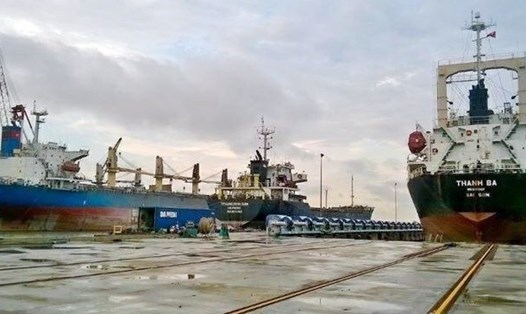 Khu vực neo đậu tàu của Công ty CP Sửa chữa tàu biển Nosco - Vinalines (xã Tiền Phong, TX Quảng Yên).Ảnh: Dương Trường