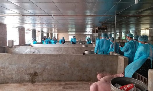 Kiểm tra công tác vệ sinh phòng dịch ngăn ngừa bệnh AFS trên đàn lợn tại các trang trại. Ảnh: Ngọc Quý