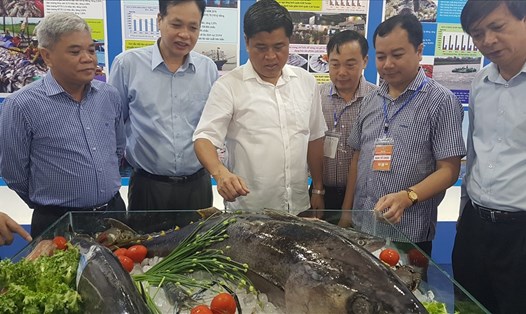Thứ trưởng Bộ NNPTNT và các đại biểu tham quan cá thu "khủng" mới được ngư dân câu về. Ảnh: Kh.V