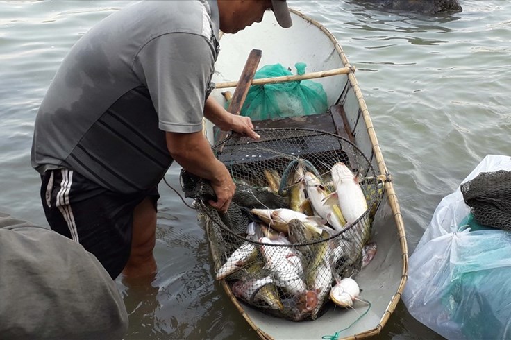 Video người dân săn được cá mè khủng nặng 15 kg ở hồ Trị An