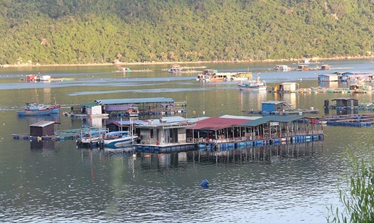 Bè, nhà hàng nổi trái phép trên vịnh Vũng Rô (Phú Yên). Ảnh: PV