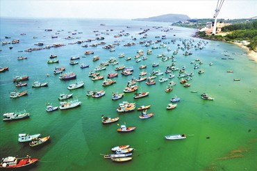 Vùng biển Phú Quốc là nơi sản sinh ra cá cơm sọc tiêu - nguyên liệu chính làm ra nước mắm Phú Quốc. Ảnh: Lục Tùng