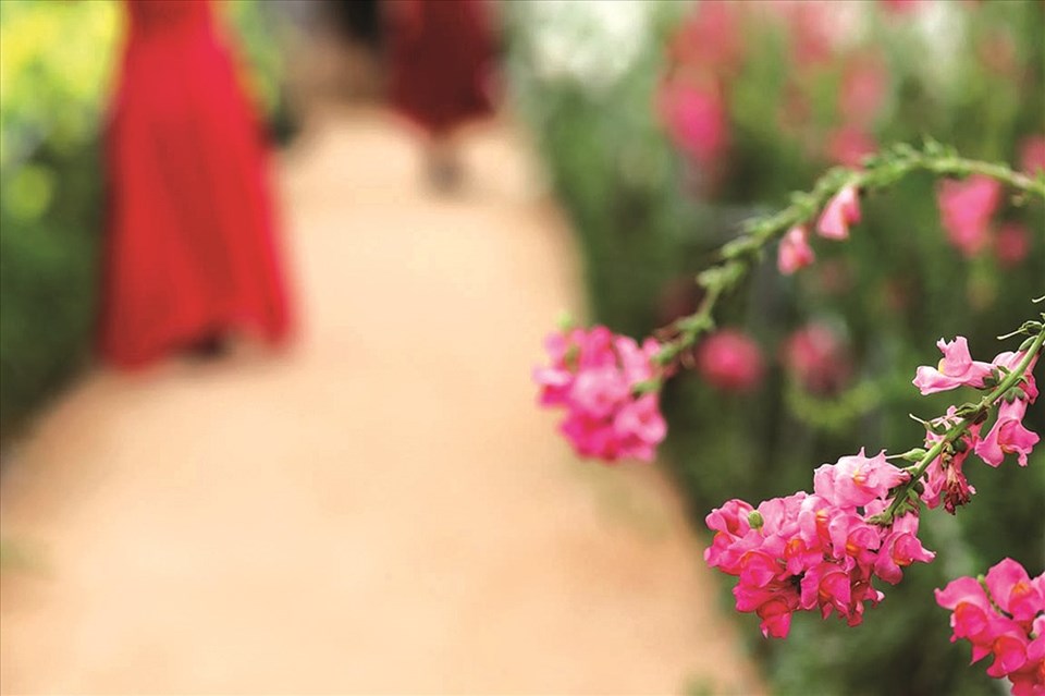 Ảnh minh họa. Ảnh minh họa.