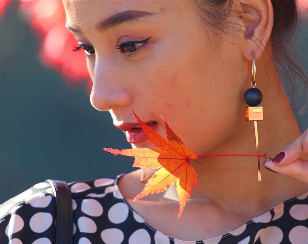 Nhiều du khách tìm đến Nhật du lịch, chỉ vì mê mải vẻ đẹp của những chiếc lá đỏ. Ảnh: Đ.D.H