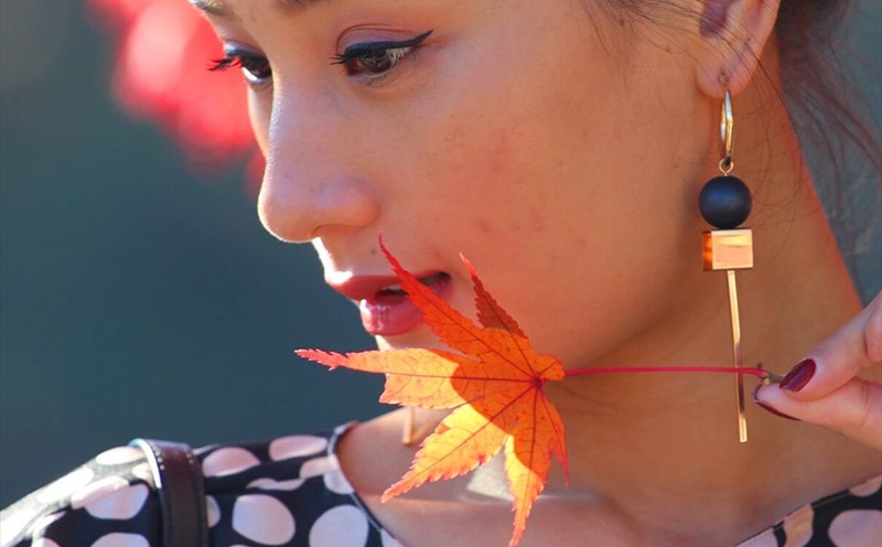 Nhiều du khách tìm đến Nhật du lịch, chỉ vì mê mải vẻ đẹp của những chiếc lá đỏ. Ảnh: Đ.D.H