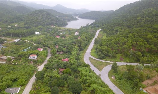 Hai xã Minh Phú và Minh Trí (huyện Sóc Sơn) đang bị thanh tra toàn diện quá trình sử dụng đất rừng. Ảnh Văn Thắng