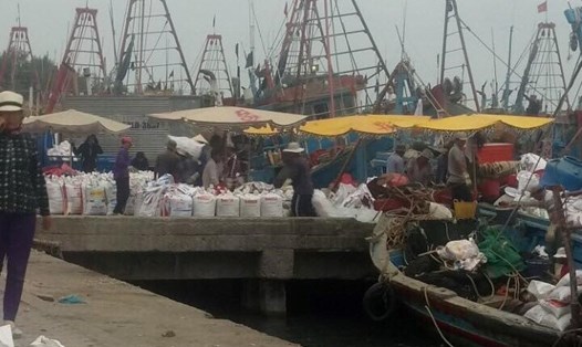 Ngư dân Thị xã La Gi, tỉnh Bình Thuận đã vào bờ và đang chằng chống, gia cố tàu thuyền tránh trú bão số 9.