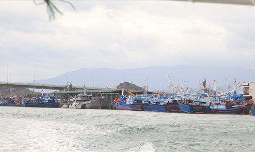 Hầu hết tàu thuyền của ngư dân Ninh Thuận và các tỉnh bạn đã neo đậu an toàn tại khu vực tránh trú bão cảng cá Ninh Chữ, huyện Ninh Hải.