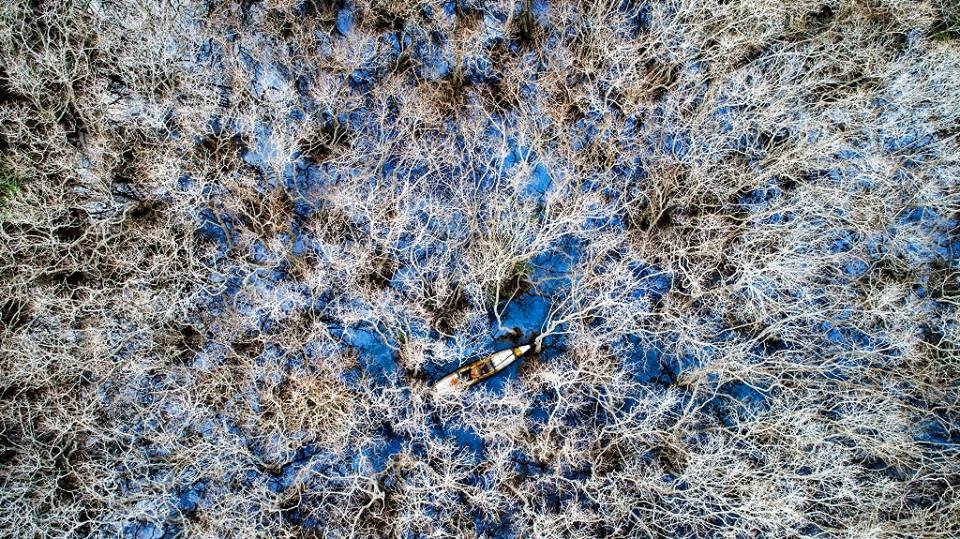 Rú Chá vào đông. Ảnh: Bảo Trân