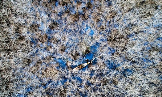 Rú Chá vào đông. Ảnh: Bảo Trân