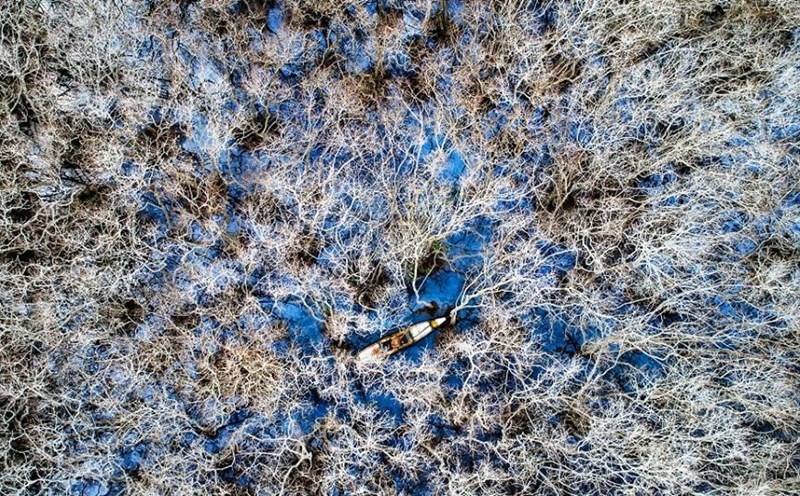 Rú Chá vào đông. Ảnh: Bảo Trân