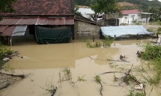Nhiều nơi ở Khánh Hòa nước ngập sâu hơn 1m. Ảnh: Nhiệt Băng