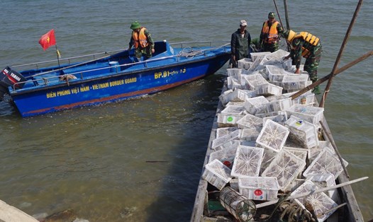 Bè mạng chở trên 2.000 con chim bồ câu nhập lậu từ Trung Quốc bị biên phòng Trà Cổ bắt giữ. Ảnh: BPQN