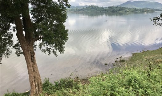 Một cây kơ nia cổ thụ bên hồ Lăk. Ảnh: H.V.M