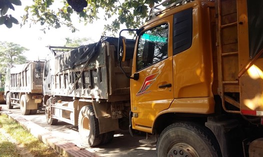 Một dàn xe tải chở đất, đá vi phạm đang bị tạm giữ ở sân UBND TP.Hạ Long. Ảnh: Nguyễn Hùng