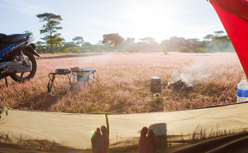 Đón ngày mới giữa khung cảnh yên bình ngập màu trắng của "cỏ tuyết". Ảnh: Quốc Phạm