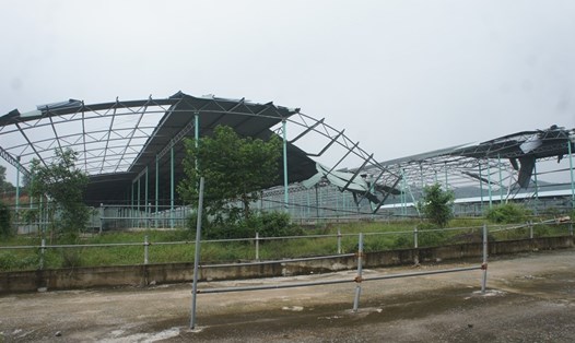 Cảnh hoang tàn, bỏ không chuồng trại của Dự án chăn nuôi bò Bình Hà hiện nay.