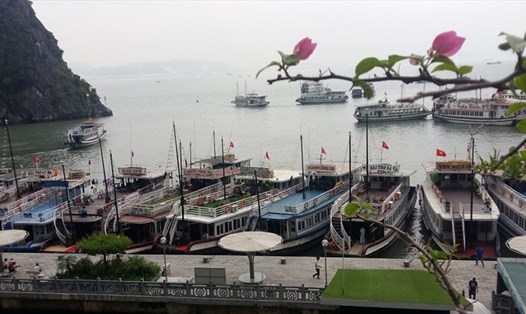 Tàu du lịch đưa du khách tham quan hang Thiên Cung, Đầu Gỗ. Ảnh: Nguyễn Hùng