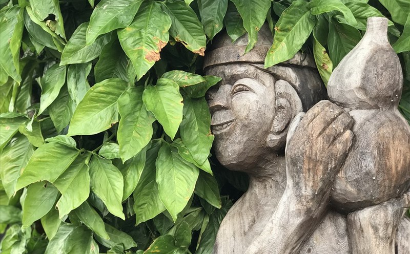 Nương vào trong xanh. Ảnh: H.V.M