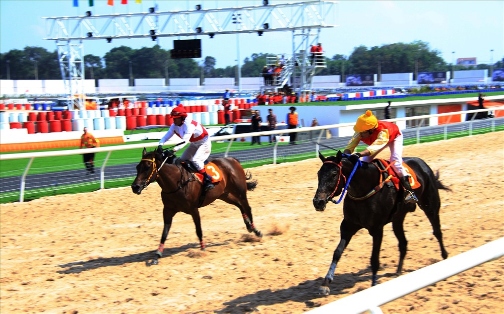 Ông Dũng lò vôi: Xây trường đua ngựa 100 triệu đô vì chiều ý vợ