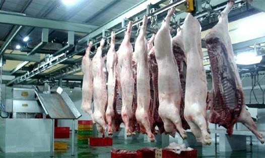 Việc giết hại vật nuôi trước mặt đồng loại vừa vi phạm luật vừa ảnh hưởng tới chất lượng thịt. Ảnh: IT