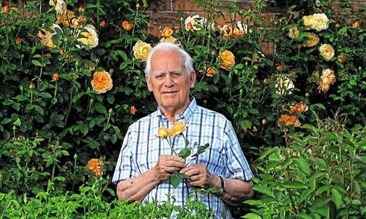 David Austin đã nhân giống hơn 230 bông hồng trong sự nghiệp phi thường của mình sau khi nhận thấy bản thân dành nhiều sự quan tâm đến những bông hoa trong những năm tuổi thiếu niên.