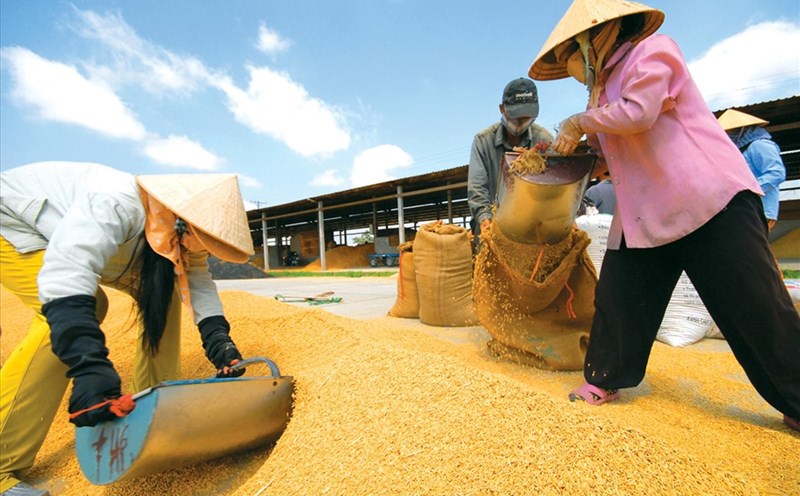 Xuất khẩu đầu tiên, ngành nông nghiệp thu về 3,2 tỉ USD