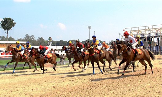Trường đua ngựa của Hà Nội sẽ được đặt tại huyện Sóc Sơn. Ảnh: Internet