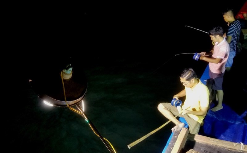 Câu mực trên biển Nhật Lệ. Ảnh: QN.