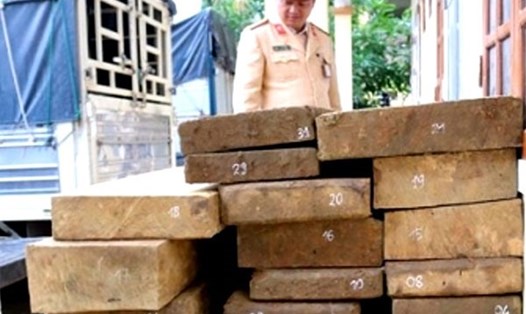 Số gỗ được các lực lượng chức năng thu giữ - Ảnh: CTV