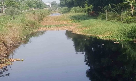Từ khi KCN Lê Minh Xuân hoạt động, nước tại các kênh mương thủy lợi xung quanh trở nên đen ngòm và bốc mùi (ảnh: moitruong.net.vn).