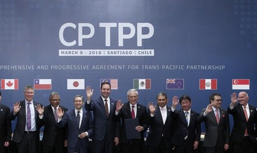 Bộ trưởng Thương mại và Công nghiệp Trần Tuấn Anh (phải) cùng đại diện 10 nước tham gia lễ ký Hiệp định CPTPP chụp ảnh chung tại hội nghị ở Santiago ngày 8/3. TTXVN.
