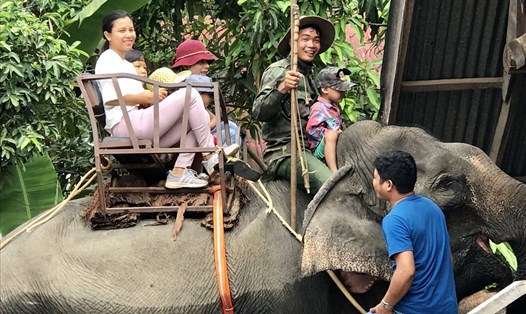 Dịch vụ cưỡi voi nhà ở hồ Lăk. Ảnh: H.V.M