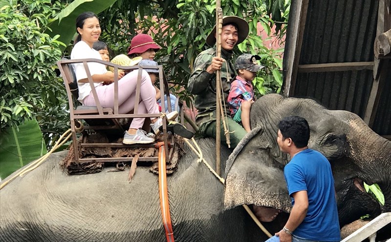 Dịch vụ cưỡi voi nhà ở hồ Lăk. Ảnh: H.V.M