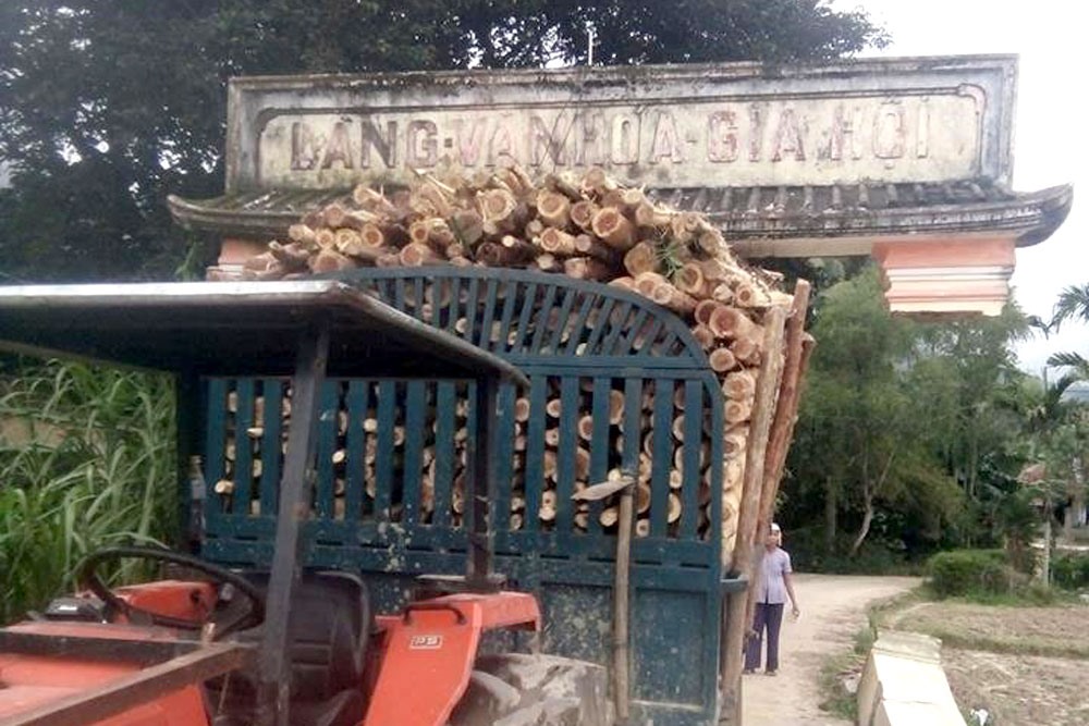 Chiếc cổng làng nằm vắt vẻo do số gỗ trên xe quá cao. Ảnh: FB Vuong Nguyen.