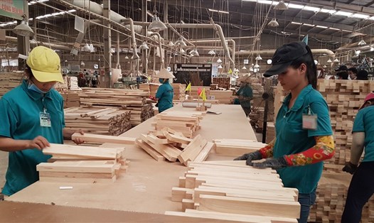 Một doan nghiệp tại Bình Dương sử dụng gỗ NK từ Châu Âu để sản xuất, chế biến ra các sản phẩm XK sang Mỹ. Ảnh: KH.V